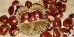 Castagne - Acquista frutta e verdura online | Consegna a Milano